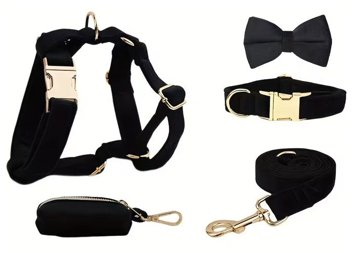 Premium Velvet Dog Set 5pcs | Style & Comfort