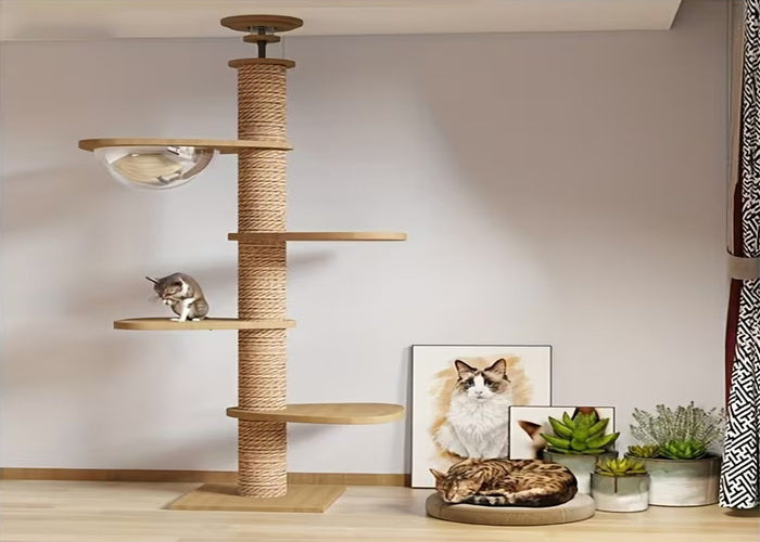 Sky-High Cat Climbing Tree with Capsule Bed & Hammock