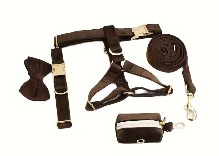 Premium Velvet Dog Set 5pcs | Style & Comfort