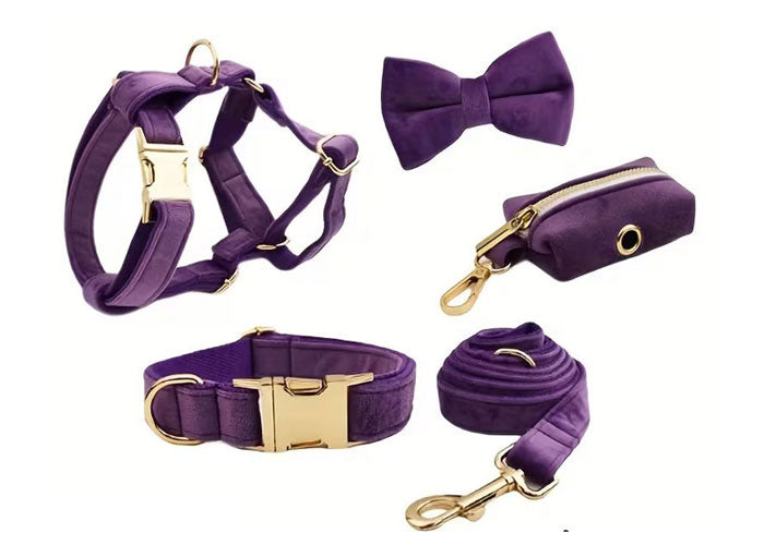 Premium Velvet Dog Set 5pcs | Style & Comfort