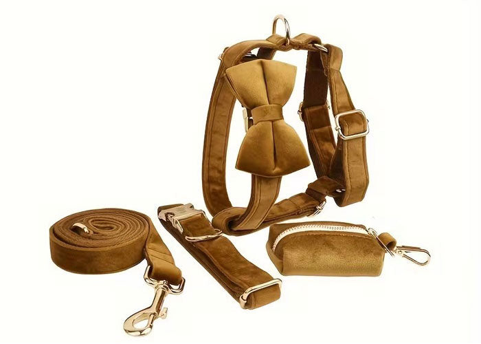 Premium Velvet Dog Set 5pcs | Style & Comfort
