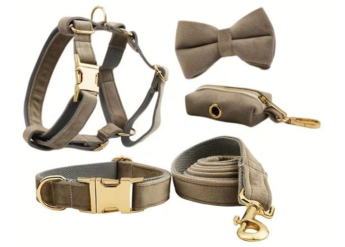 Premium Velvet Dog Set 5pcs | Style & Comfort