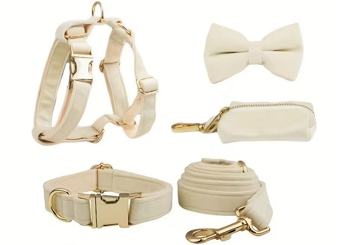 Premium Velvet Dog Set 5pcs | Style & Comfort