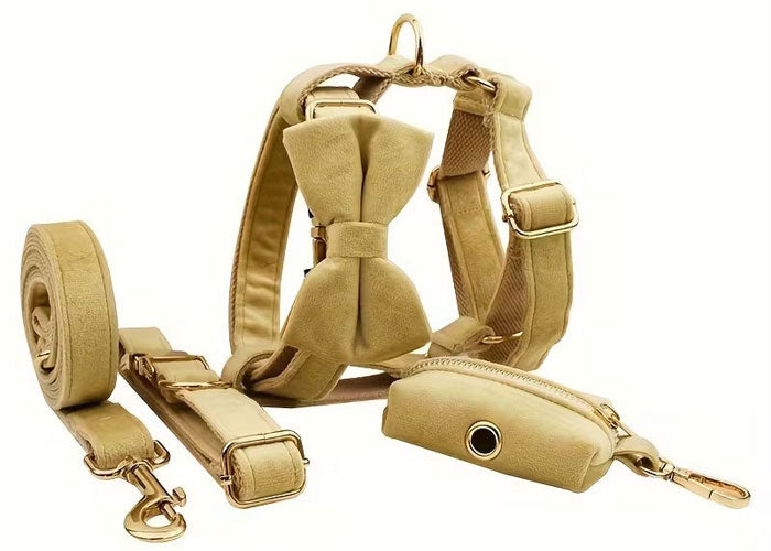 Premium Velvet Dog Set 5pcs | Style & Comfort