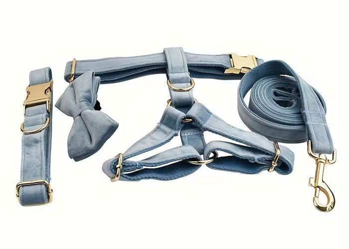 Premium Velvet Dog Set 5pcs | Style & Comfort
