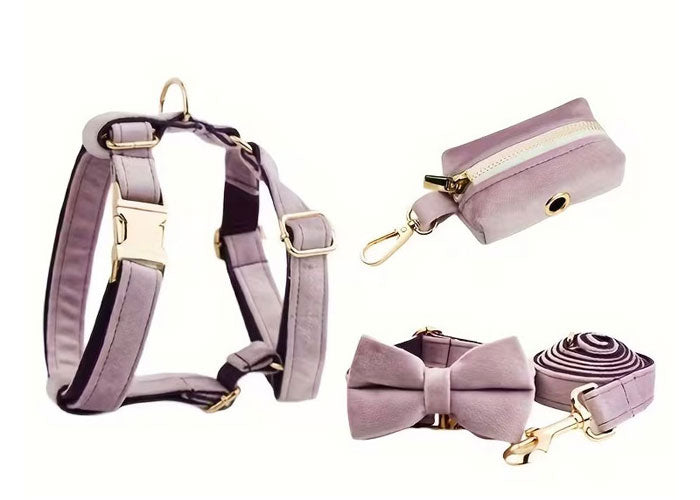 Premium Velvet Dog Set 5pcs | Style & Comfort